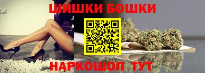 МДПВ Дубна