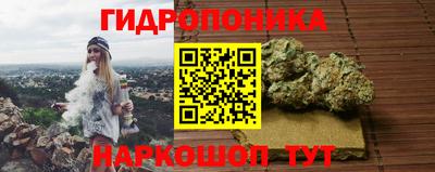 МДПВ Дубна