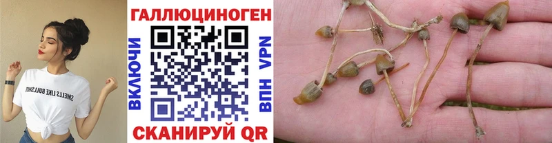 Псилоцибиновые грибы прущие грибы  мега зеркало  Тула 